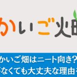 かいご畑はニート向き？職歴がなくても大丈夫な理由を解説