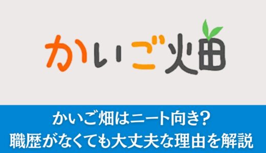 かいご畑はニート向き？職歴がなくても大丈夫な理由を解説