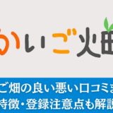 かいご畑の良い悪い口コミまとめ｜特徴・登録注意点も解説