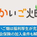 かいご畑は福利厚生が充実！社会保険の加入条件も解説